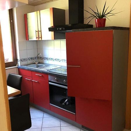 Ferienwohnung Paradies Χαϊδελβέργη Εξωτερικό φωτογραφία