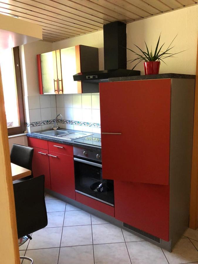 Ferienwohnung Paradies Χαϊδελβέργη Εξωτερικό φωτογραφία